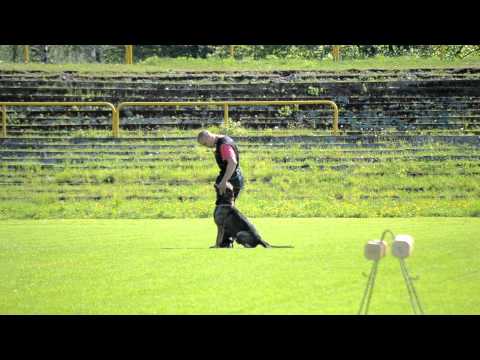 VS Třinec 2012 - Radomír Kupka & Cox Vikar B: 90