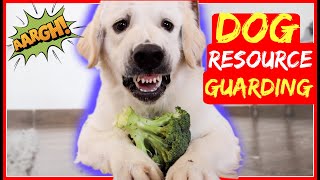 Stop Resource Guarding Now - End possessive aggression around food or toys!