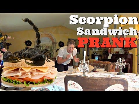 REAL SCORPION SANDWICH PRANK - Top Husband Vs Wife Pranks Of 2017 Video