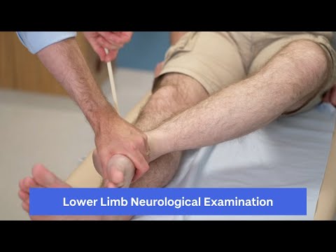 Lower Limb Neurological Exam