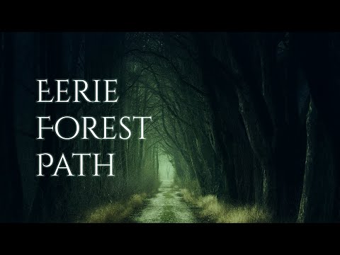 EERIE FOREST PATH Ambience and music | dark forest ambience with atmospheric music #ambientmusic