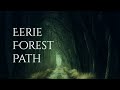 EERIE FOREST PATH Ambience and music | dark forest ambience with atmospheric music #ambientmusic