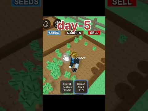 Day 5: Carrot Planting & Soil Prep for Subscribers