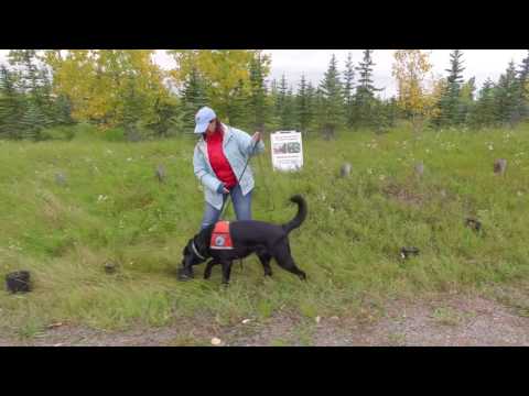 Alberta Environment & Parks - Invasive Weeds Training