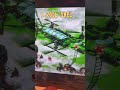 FINAL BOSS BATTLE Kaptain K Rool Donkeykong Mariomovie Donkeykongcountry2diddyskongquest Gaming