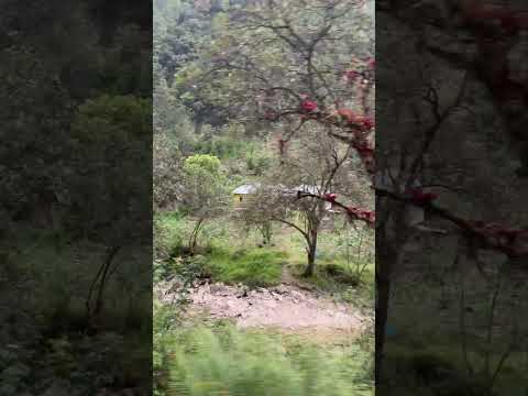 Aldea San Lucas,San Juan Ixcoy,Huehuetenango 🇬🇹