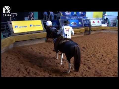 Bocal de Ouro Esteio (RS) – 2° lugar machos – Encantto Della Tersa