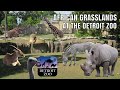 African Grasslands At The Detroit Zoo Exhibit Tours Ep 26