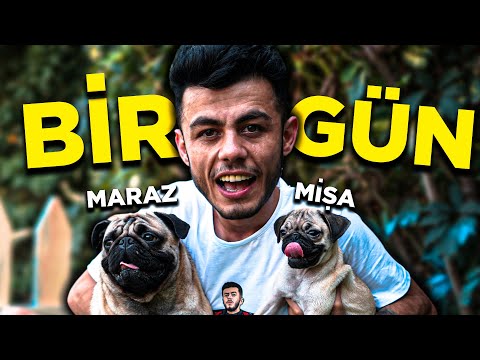 A DAY WITH MARAZ AND MISHAA!! (THE CRAZIEST DOG IN THE WORLD)