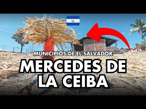 Este es el municipio MÁS PEQUEÑO de El Salvador | Historia, Moliendas y más en Mercedes De La Ceiba