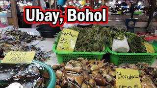 Download lagu Ubay, Bohol Wet Market Tour | Fresh & Affordable Seafood in Bohol, Philippines mp3