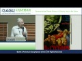 AGU Chapman Conference -- Climate Science: Spencer Weart (Second Session)