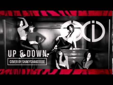 Up & Down (위아래) - EXID (이엑스아이디) (Cover) [APC Idol Competition 2014 - Vocal Battle Entry]