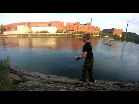 Kymijoki, Koskenranta 9.8.2018