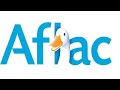 Aflac 2010 Commercial