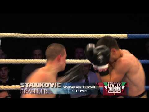 Boxer Profiles - Branimir STANKOVIC - Italia Thunder