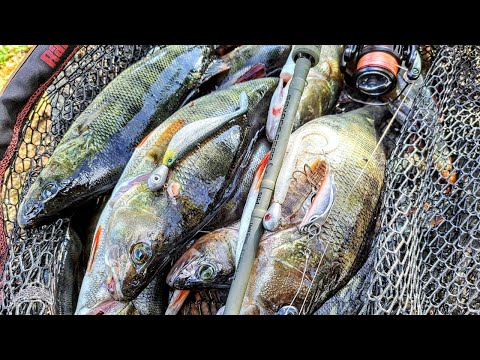 KIRKKAAN PÄIVÄN AHVENTA KIRKKAISTA VESISTÄ - STEEPELIN JA JIGIN UITTOA