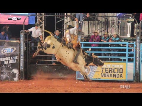 Maracaí Rodeo 2019 - BULLS / SATURDAY