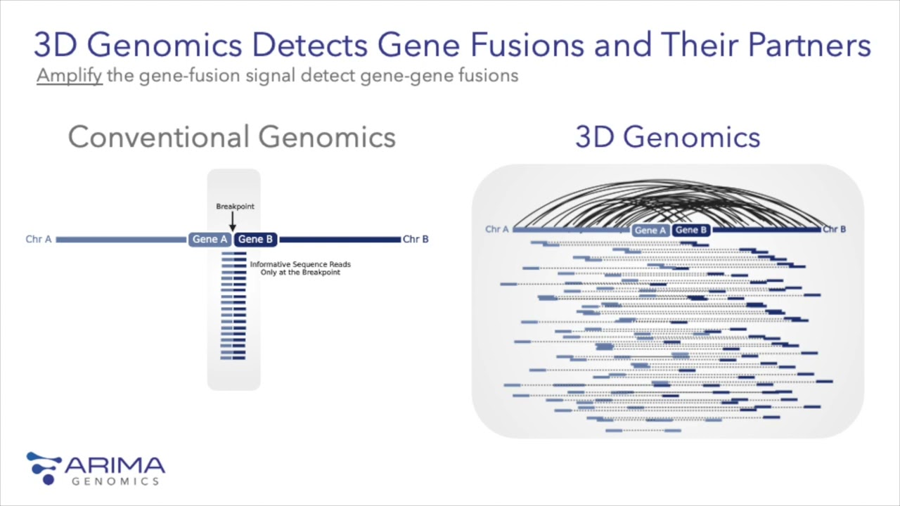 USCAP 2023: Revealing the Broader Impact of Gene Fusions in Cancer with 3D Genomics
