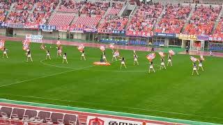 アルビレックスチアリーダーズのパフォーマンス(2022.10.23)
