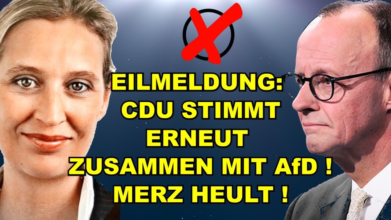 EIL: CDU STIMMT ERNEUT mit AfD! Merz heult!