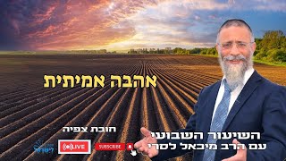 הרב מיכאל לסרי | אהבה אמיתית🔴שידור חי #foryou  #הרבלסרי #live #foryou (הרב מיכאל לסרי) - התמונה מוצגת ישירות מתוך אתר האינטרנט יוטיוב. זכויות היוצרים בתמונה שייכות ליוצרה. קישור קרדיט למקור התוכן נמצא בתוך דף הסרטון