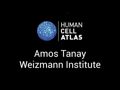 Amos Tanay at the Human Cell Atlas Computational Methods meeting - Stockholm, 1-2 June 2017