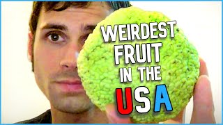 Top 10 WEIRDEST FRUIT That Grows in The USA (I actually tried them!)