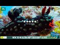Blue Planet II Trailer