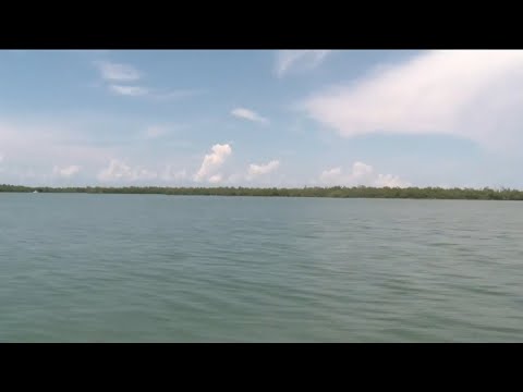 State removes hurricane debris from Clam Pass waterway in Collier County