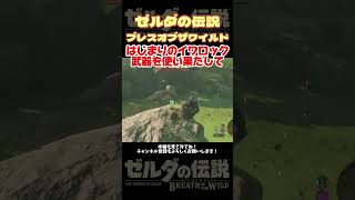 拾い集めた武器全部使うリンク【ゼルダの伝説ブレスオブザワイルド】#ブレワイ＃ゲーム実況