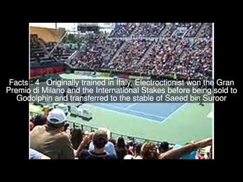 2006 Dubai World Cup Top  #8 Facts