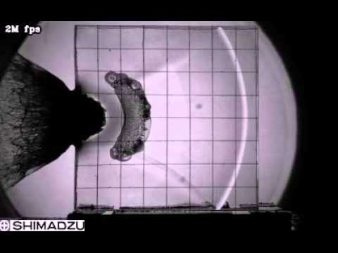 High-Speed Video Camera HPV-X2 – High Speed Collision of a Transparent Laminate with a Resin Sphere