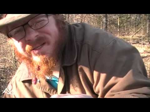 Pathfinder Phase 1 Block 7 Senses and Nature Awareness