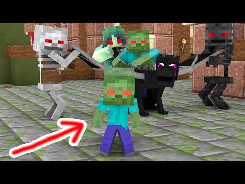 IS BABY ZOMBIE POISONED ? - Minecraft Animation