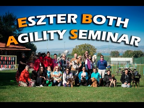 DogVlog #3 | Eszter Both Agility Seminar