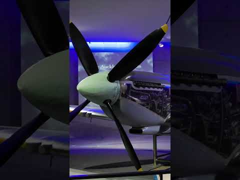 Thumbnail for World Cruise Day 47: Woman Jumps off Tower in New Zealand