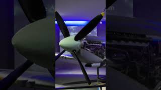 World Cruise Day 47: Woman Jumps off Tower in New Zealand