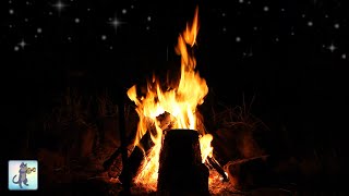Cozy Campfire at Night 🔥 Burning Fire & Crackling Fire Sounds (NO MUSIC)
