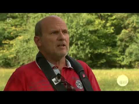 Fahrradverbot Park Schönbusch Aschaffenburg - Schlösserverwaltung in der Kritik - quer (BR)