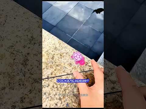 Trying to catch a turtle candy, but fell for a big trick! 😱🤣🐢🍬