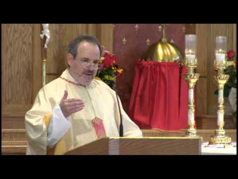 Jul 20 - Homily - Fr. Casey: Christian Bravery