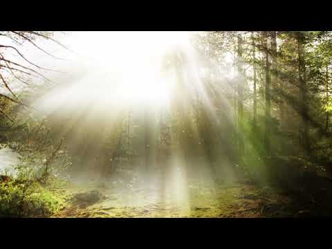 Patrick Ravage - Melodic Transcendence #070 - Progressive House | Melodic Techno | Deep House