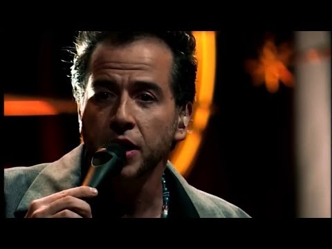 O Girassol video