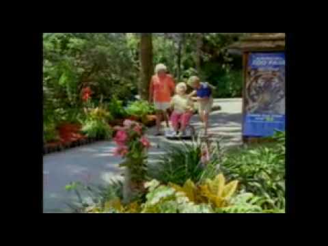 CBN NewsWatch: February 1, 2010 - CBN.com