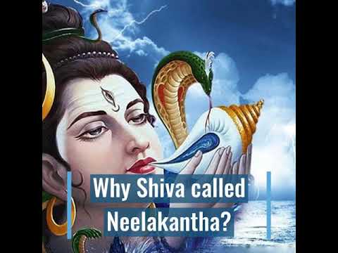 Why is lord shiva called as Neelakantha? A story by Anarghya