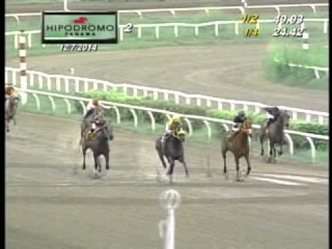 2DA CARRERA DOMINGO 7 DE DICIEMBRE DEL 2014 HPR