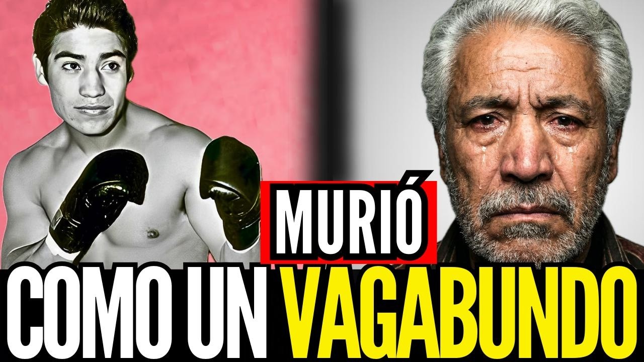 YouTube Thumbnail Downloader FULL HQ IMAGE