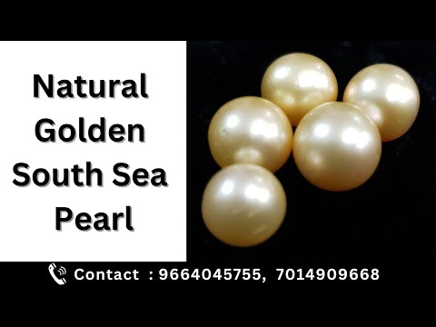 South Sea Moti/ Natural South Sea Pearl / South Sea Moti/ Round Shape/ Golden Yellow Pearl (Moti)