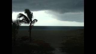 blonde redhead bonus track. melody of certain damaged lemons.